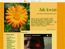 Tablet Screenshot of iwkas.blox.pl