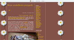 Desktop Screenshot of mojeszydelkoweprzygody.blox.pl
