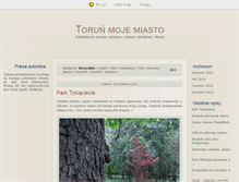 Tablet Screenshot of mojtorun.blox.pl