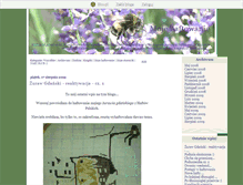 Tablet Screenshot of haftowaniebebezet.blox.pl