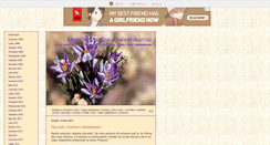 Desktop Screenshot of aniapichci.blox.pl