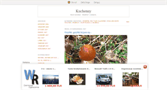 Desktop Screenshot of kuchenny.blox.pl