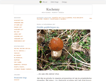 Tablet Screenshot of kuchenny.blox.pl