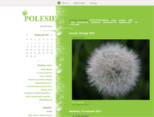 Tablet Screenshot of polesie.blox.pl