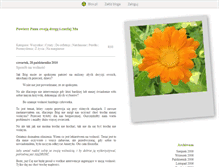Tablet Screenshot of lepszy.blox.pl