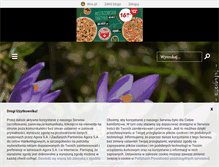Tablet Screenshot of ewaalicjaslomska.blox.pl