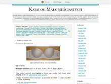 Tablet Screenshot of kataloglmb.blox.pl