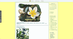 Desktop Screenshot of niesfornedruty.blox.pl