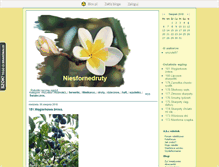 Tablet Screenshot of niesfornedruty.blox.pl
