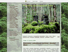 Tablet Screenshot of konread.blox.pl