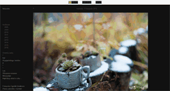 Desktop Screenshot of fotoszoko.blox.pl