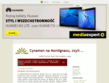 Tablet Screenshot of cinnamonmm.blox.pl