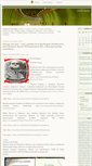 Mobile Screenshot of leaks.blox.pl