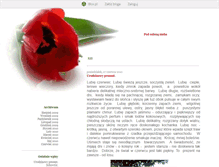 Tablet Screenshot of kamykowarodzinka.blox.pl