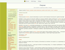 Tablet Screenshot of finzynier.blox.pl